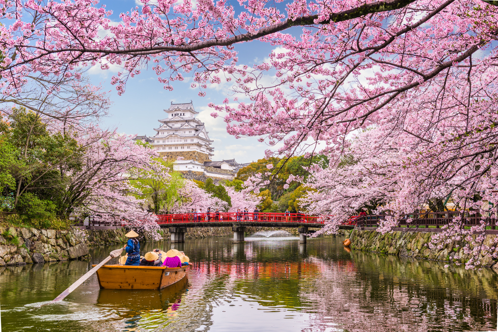 Lelki töltődés keleti hangulatban – Japánkertek és cseresznyefa-virágzás Magyarországon