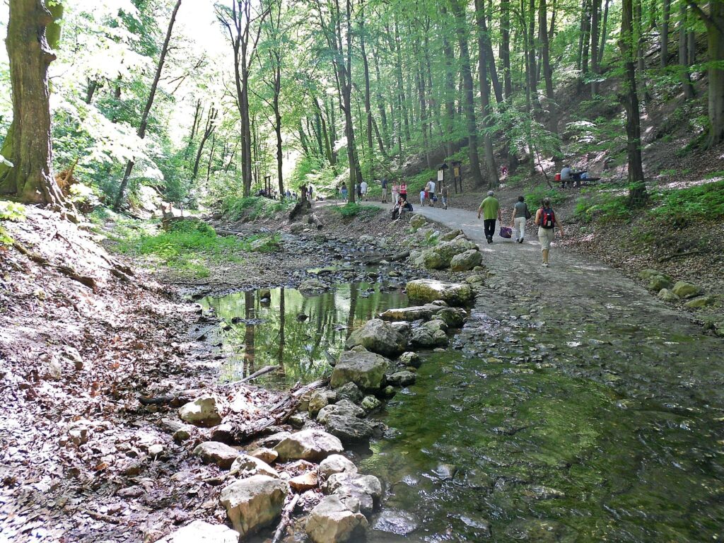 Csúcsra járatjuk az élményeket – Adrenalinvadászat Magyarország legjobb via ferrata útjain
