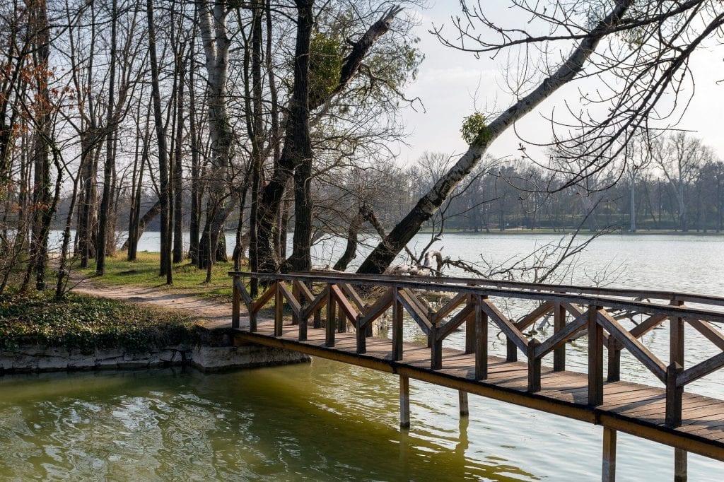 Ragadd meg az élményt! A tatai Angolpark és Cseke-tó nem hagy unatkozni!