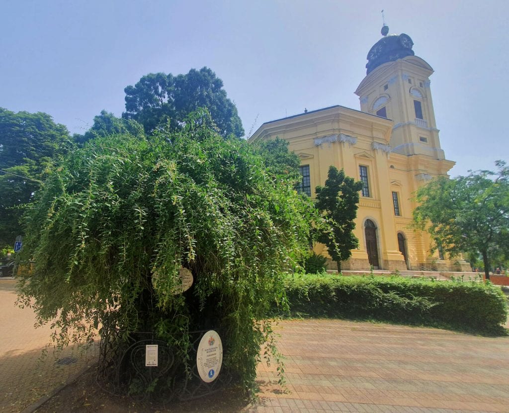 7+1 bakancslistás nyári élmény Debrecen belvárosában