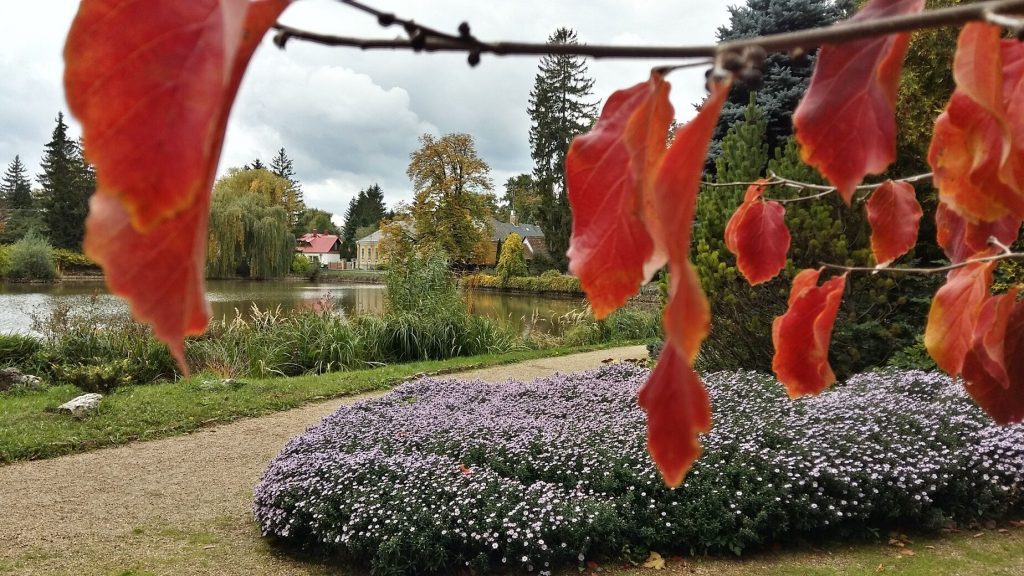 5 mesés arborétum - Búcsúztasd az őszt a legszebb kertekben!