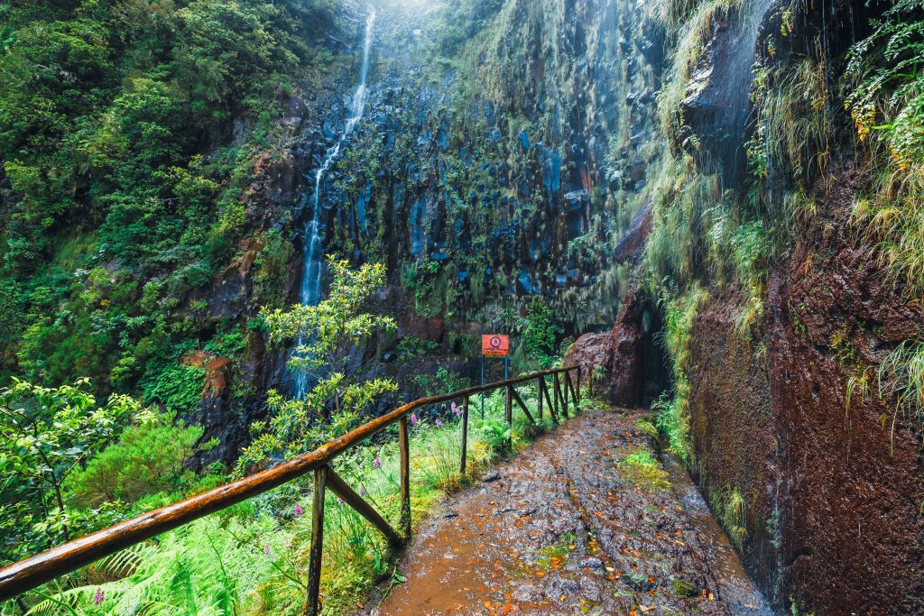 Madeira: Az örök tavasz szigete 