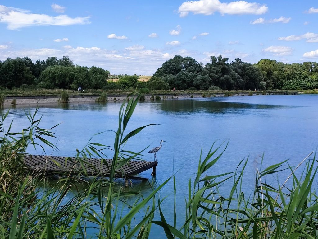 Fedezzétek fel Budapest Balatonját! ‒ vadregényes szabadidőpark a Naplás-tónál