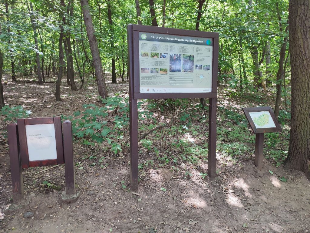 Fedezzétek fel Budapest Balatonját! ‒ vadregényes szabadidőpark a Naplás-tónál