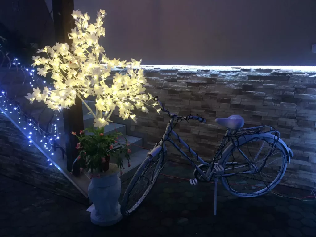 Eta néni dabasi karácsonyháza – Idén is tengernyi fény díszíti a mesebeli otthont