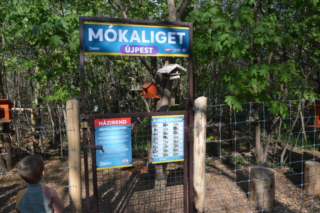 Mókaliget – Íme Budapest első mókus- és madárparkja
