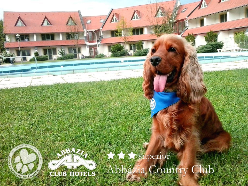 Játssz velünk, és nyerj egy pihentető kikapcsolódást az Őrség egyik barátságos hangulatú, kutyabarát szállodájába, a Abbázia Country Clubba