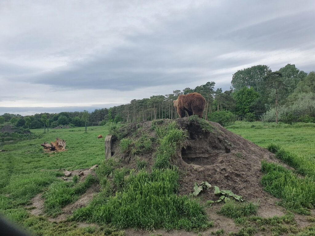 TOP 15 eldugott kirándulóhely Budapest közelében