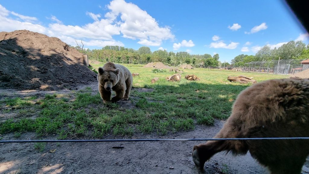 Magyarországi állatkert gyűjtemény - "Állati jó" helyek