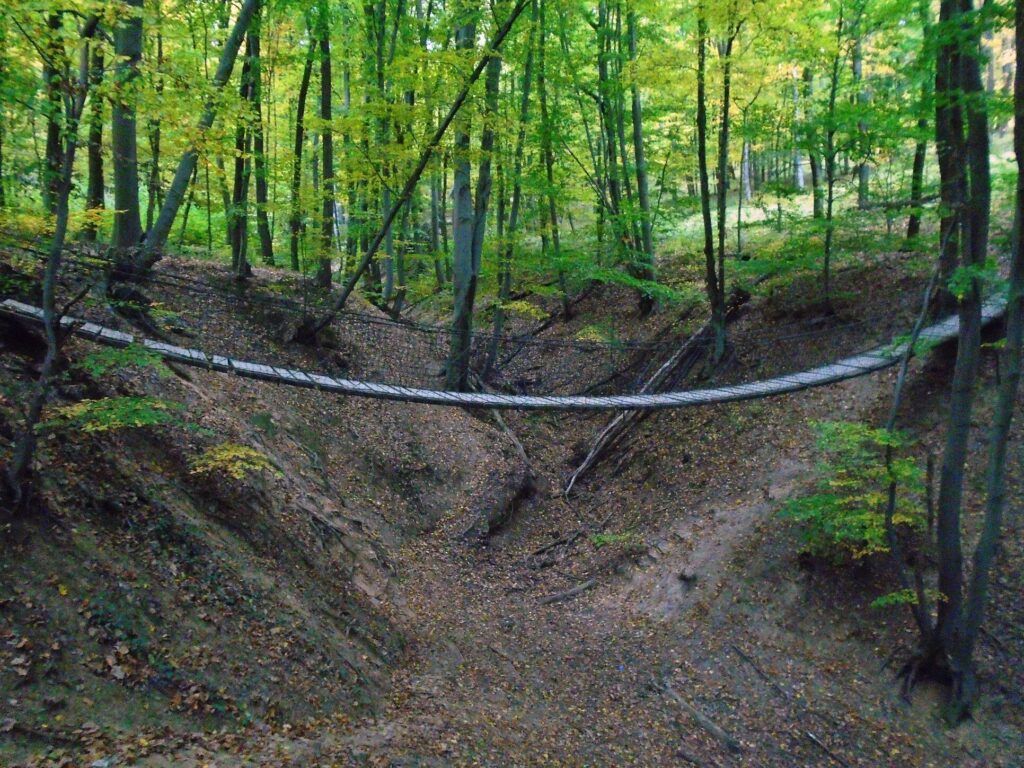 10 hűsítő kutyabarát kirándulóhely a Dunakanyarban (+ kutyabarát szállástippek)