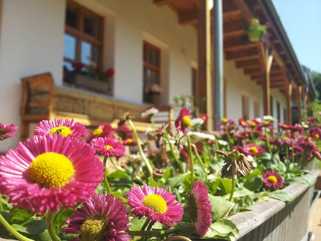 TOP vidéki programok augusztus 20-ra - szállás- és programtippek az ország minden tájáról