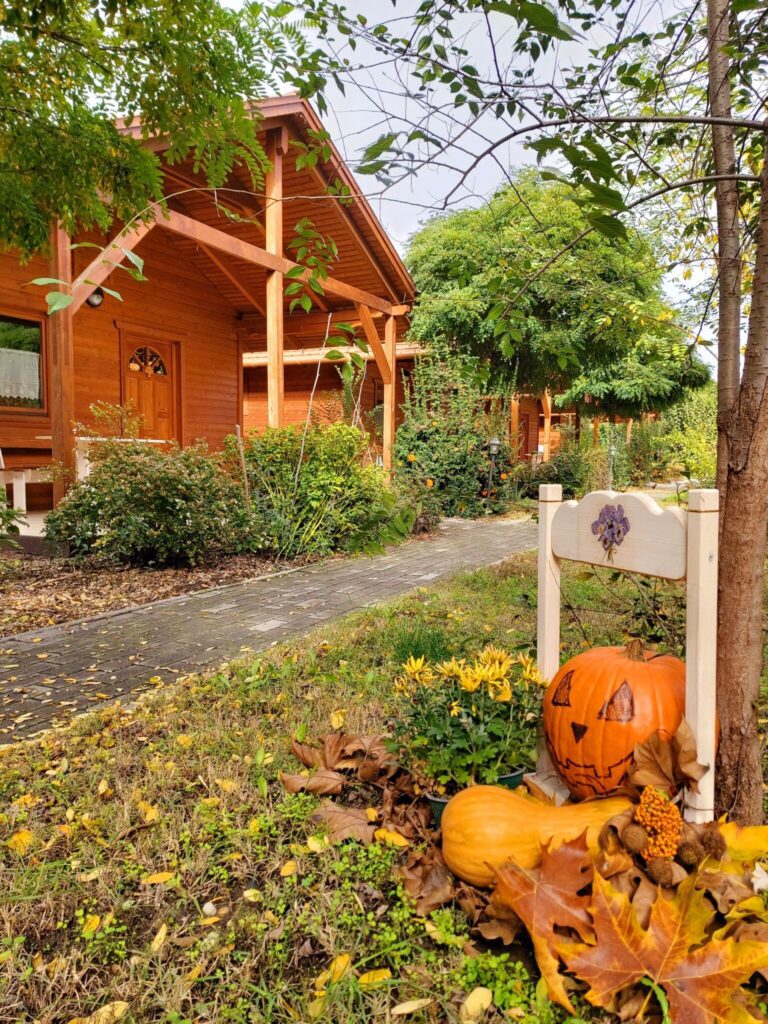 Őszi programok gyerekekkel – 5 úti cél, ahol tökfaragás és halloweeni bulik várnak