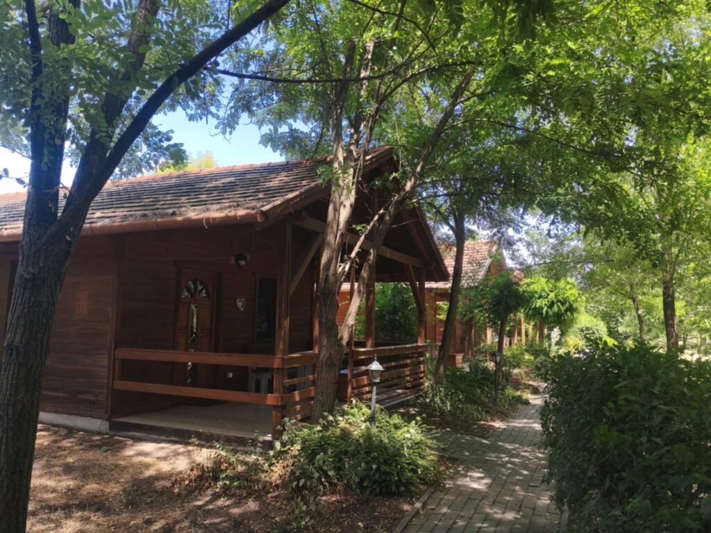 Őszi programok gyerekekkel – 5 úti cél, ahol tökfaragás és halloweeni bulik várnak