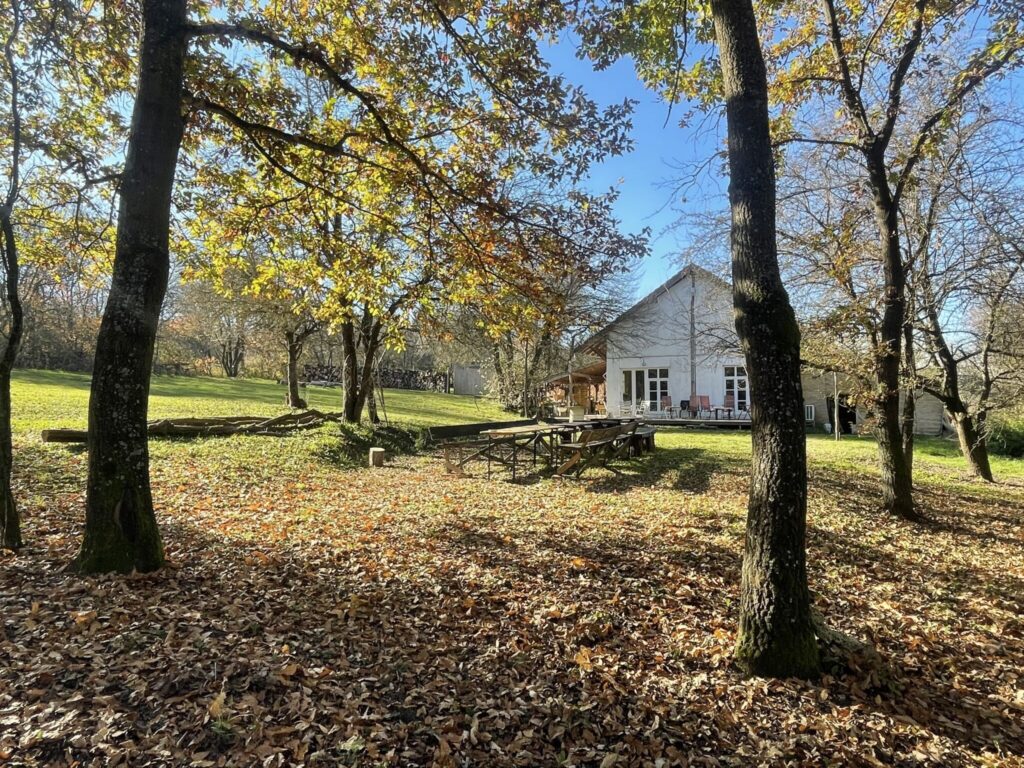 Őszi programok gyerekekkel – 5 úti cél, ahol tökfaragás és halloweeni bulik várnak