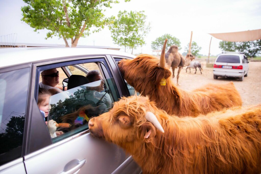 Nagy Adventi kalendárium – 24 családi program karácsonyra hangolódva
