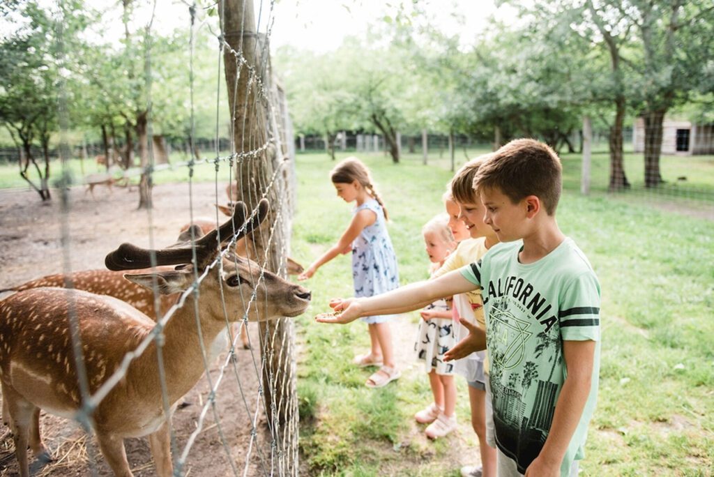 Teljesítsd az Országos Kéktúra 4. szakaszát 20% szálláskedvezménnyel! 