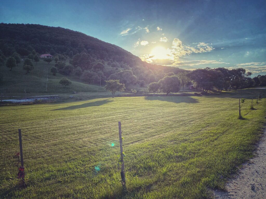 Rejtett ösvények és vadvilági tájak: Farkaskútvölgy látnivalói