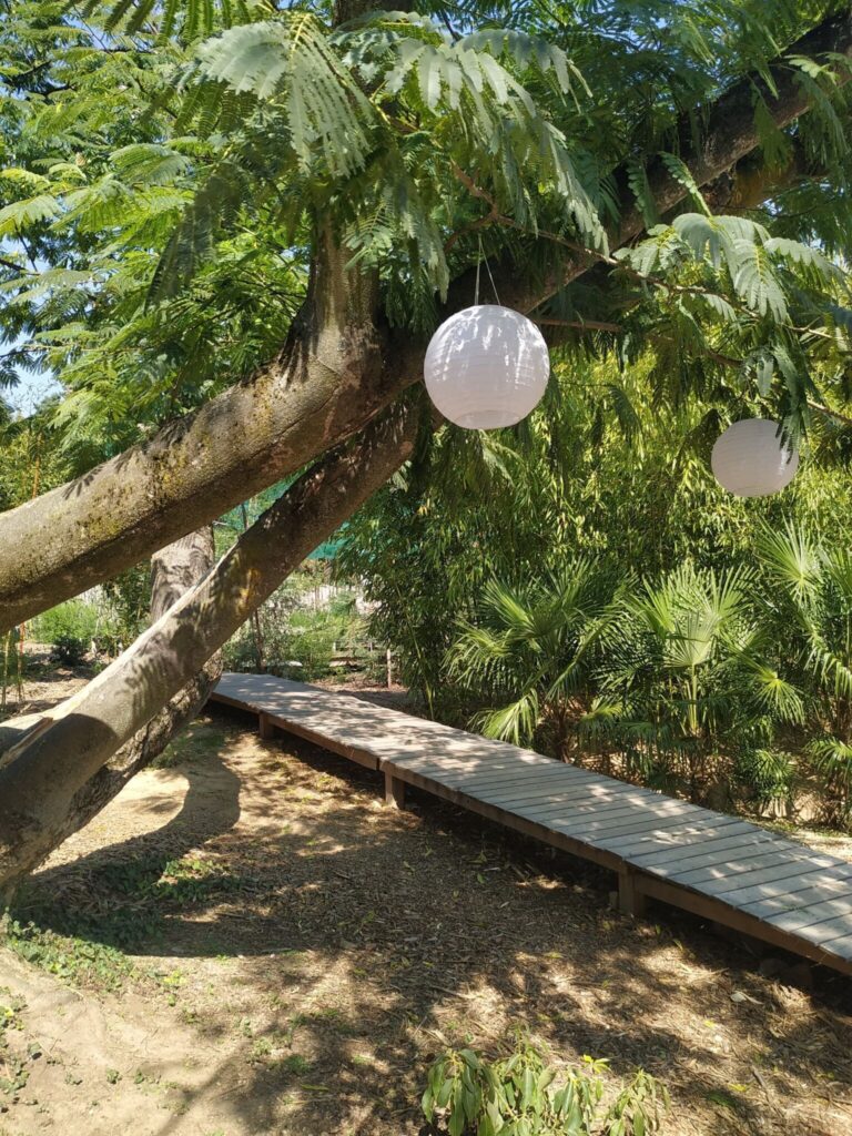A Balaton titkos toszkán édenkertje: Folly Arborétum (+ szállásajánló)