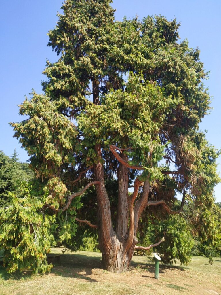 A Balaton titkos toszkán édenkertje: Folly Arborétum (+ szállásajánló)