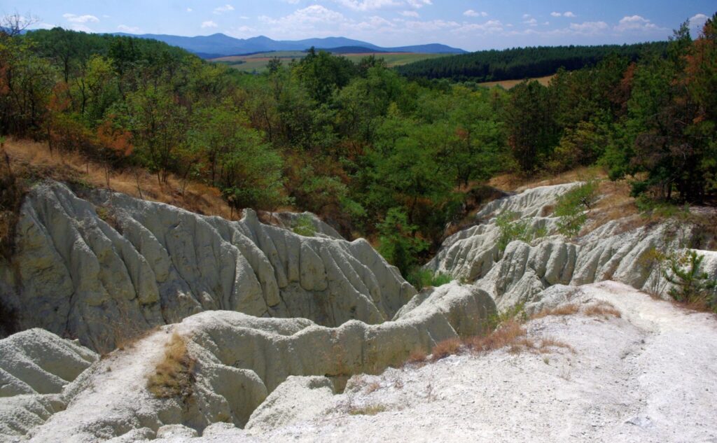 Rejtett ösvények és vadvilági tájak: Farkaskútvölgy látnivalói