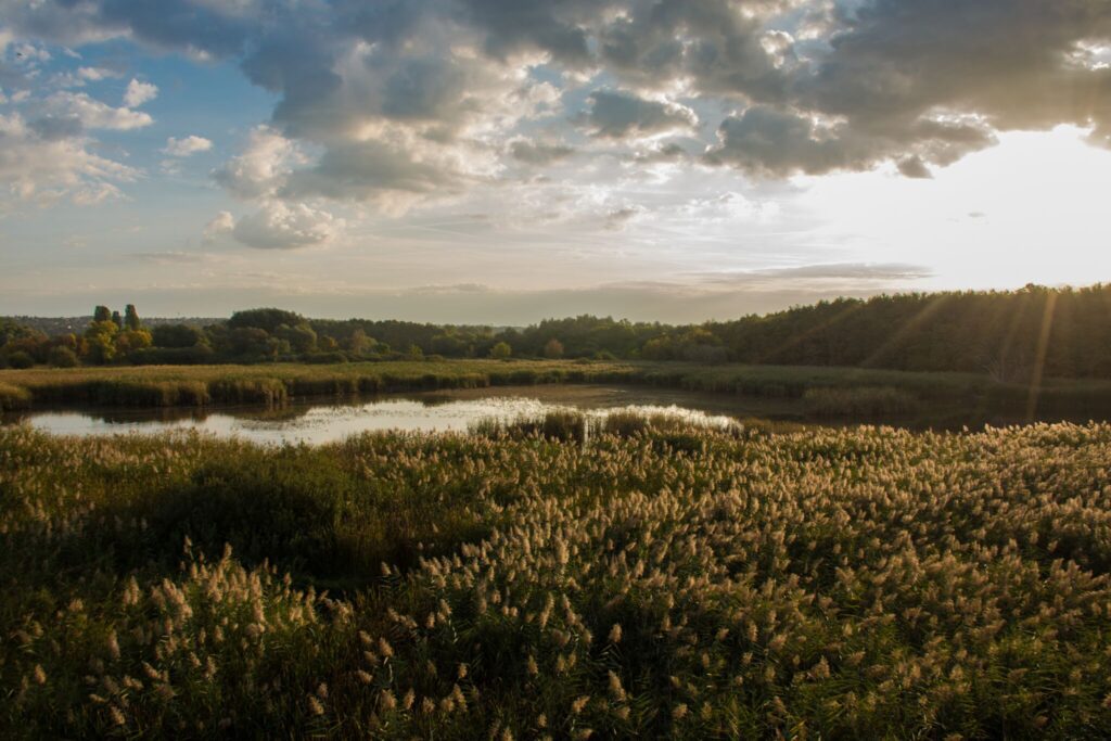 Száraz lábbal a víz fölött – Top 8 ártéri tanösvény, amin végig kell menned
