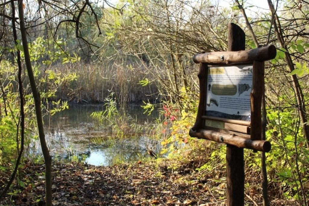 Száraz lábbal a víz fölött – Top 8 ártéri tanösvény, amin végig kell menned