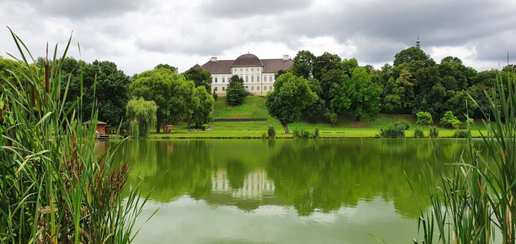 Rejtett ösvények és vadvilági tájak: Farkaskútvölgy látnivalói