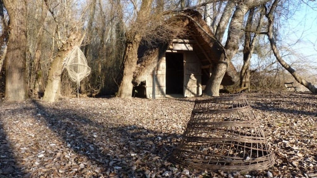 Száraz lábbal a víz fölött – Top 8 ártéri tanösvény, amin végig kell menned