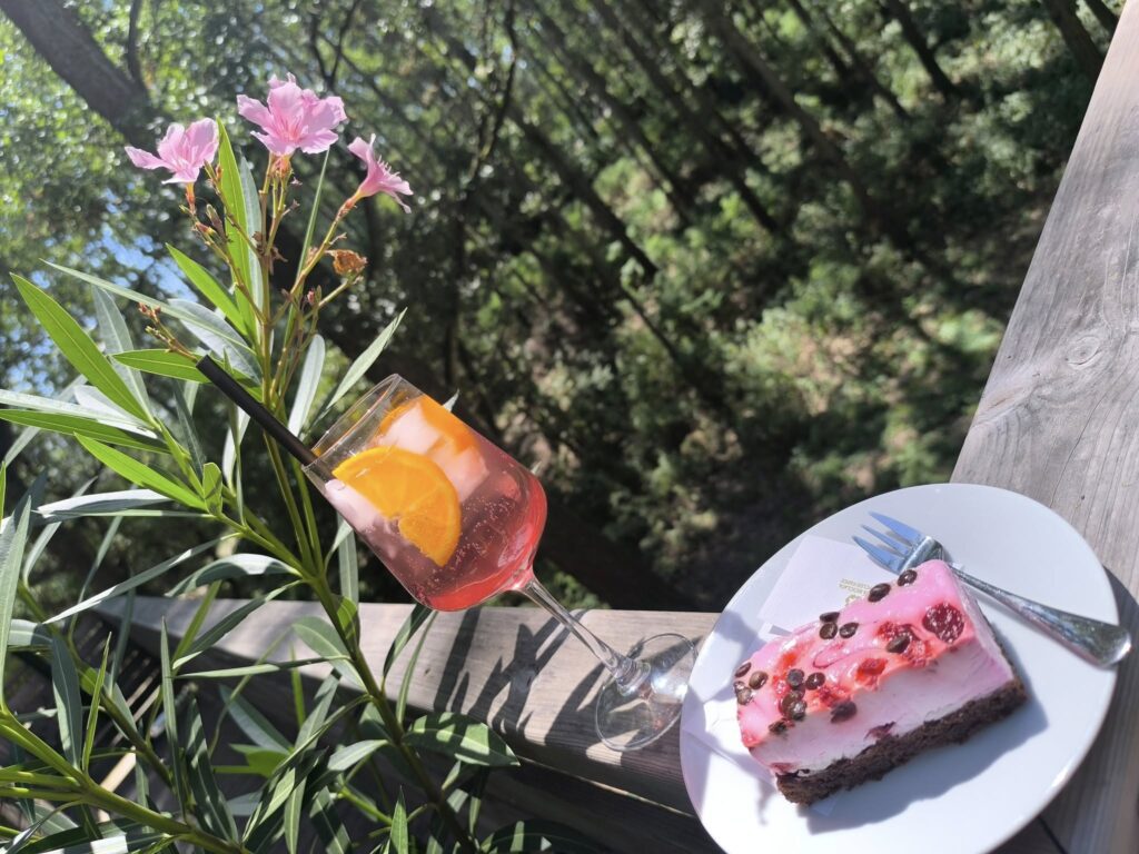 Nagykörűi lombkoronasétány és lombház - Bakancslistás hely a Tisza mellett