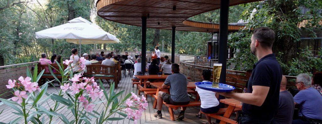 Nagykörűi lombkoronasétány és lombház - Bakancslistás hely a Tisza mellett