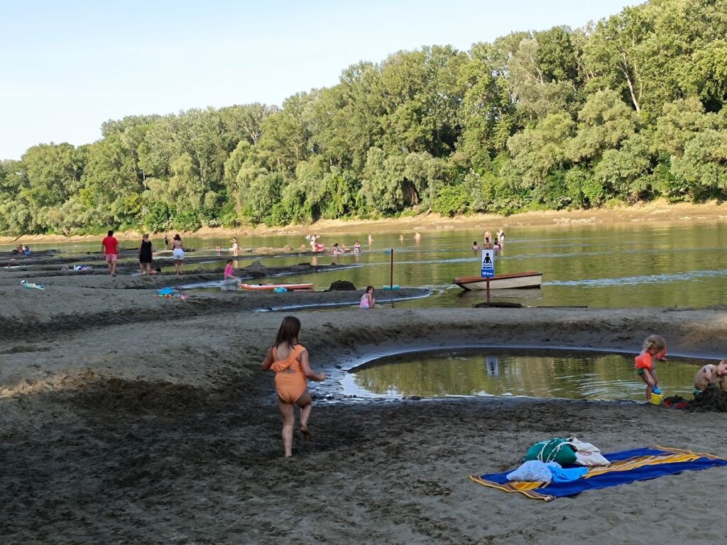 Nagykörűi lombkoronasétány és lombház - Bakancslistás hely a Tisza mellett