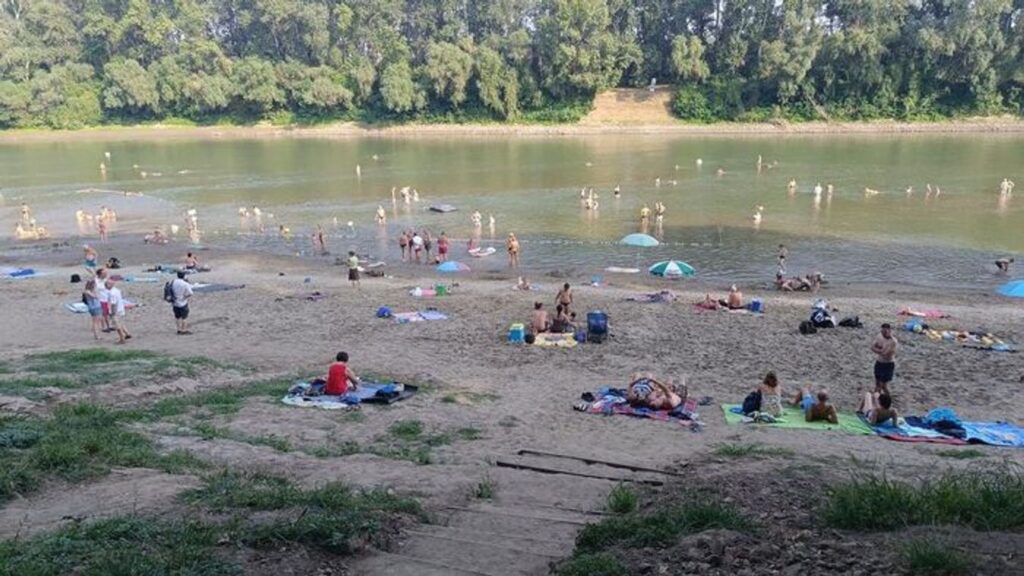 Nagykörűi lombkoronasétány és lombház - Bakancslistás hely a Tisza mellett