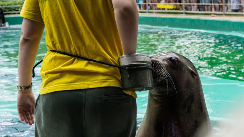 Egy állati izgalmas kaland – Állatkertek éjszakája 2025