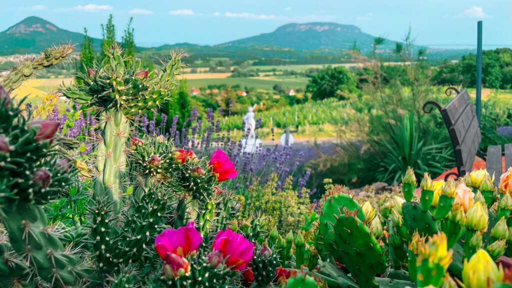 Több Balatont kevesebb pénzért! Top 10 balatoni látnivaló, amit ingyen vagy kedvezményesen is megnézhetsz