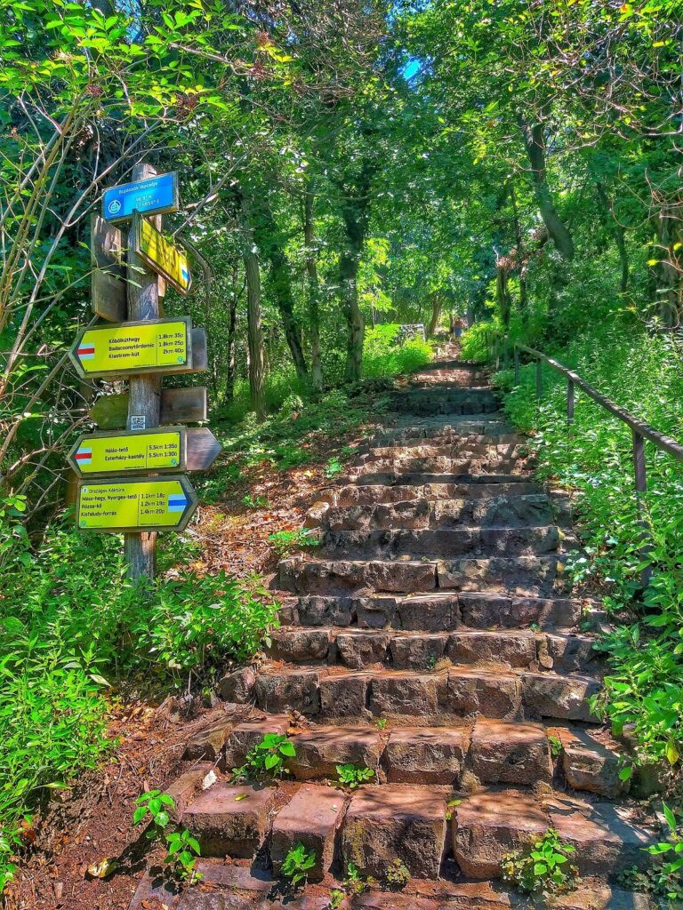 A legextrémebb balatoni helyek számokban - 10 balatoni „leg”, ami garantáltan meglep