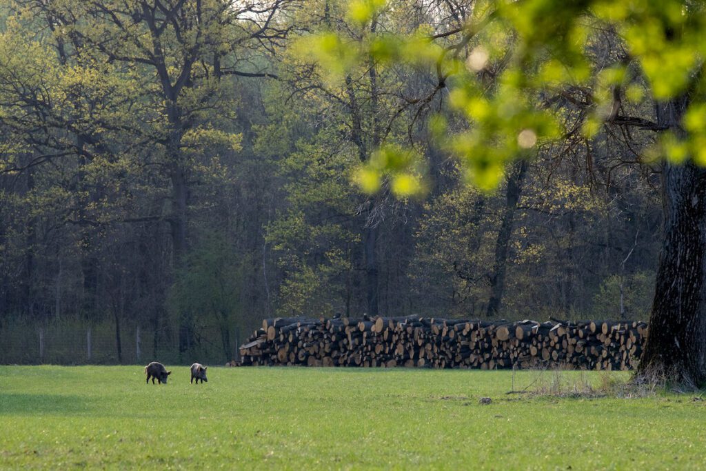 Top 10 hétvégi túratipp vasúti és buszmegállótól indulva – autómentes kirándulások