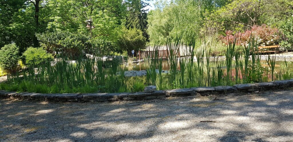 Több Balatont kevesebb pénzért! Top 10 balatoni látnivaló, amit ingyen vagy kedvezményesen is megnézhetsz