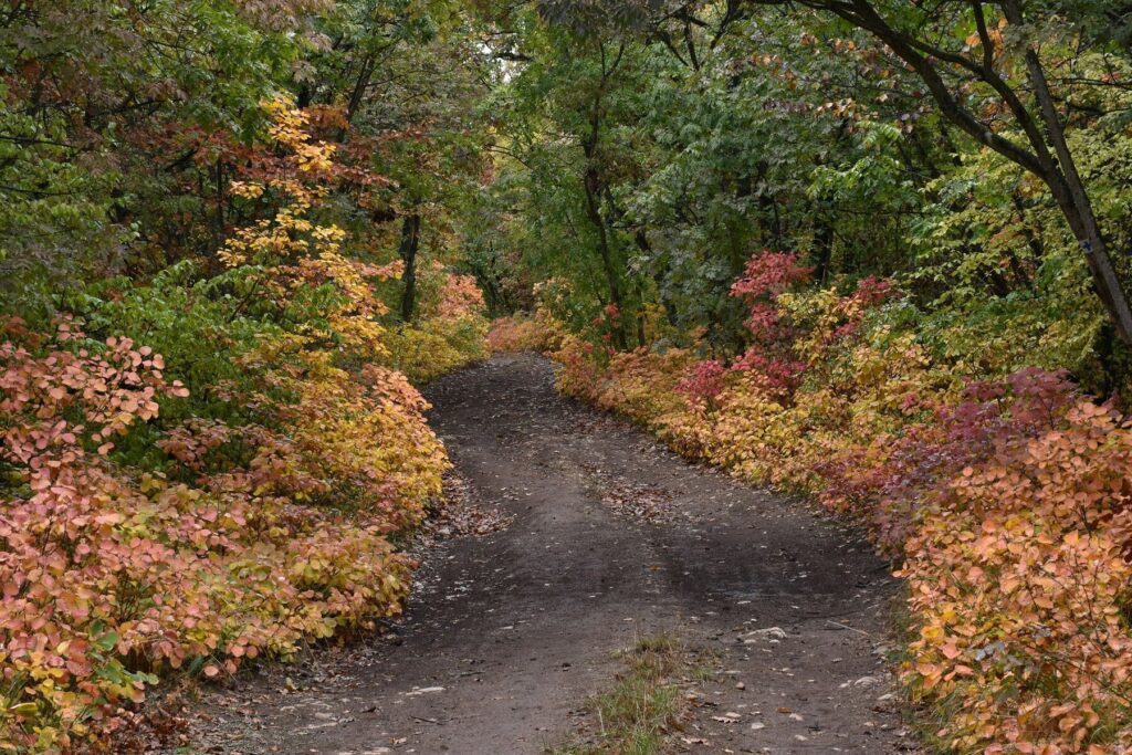 Top 10 hétvégi túratipp vasúti és buszmegállótól indulva – autómentes kirándulások