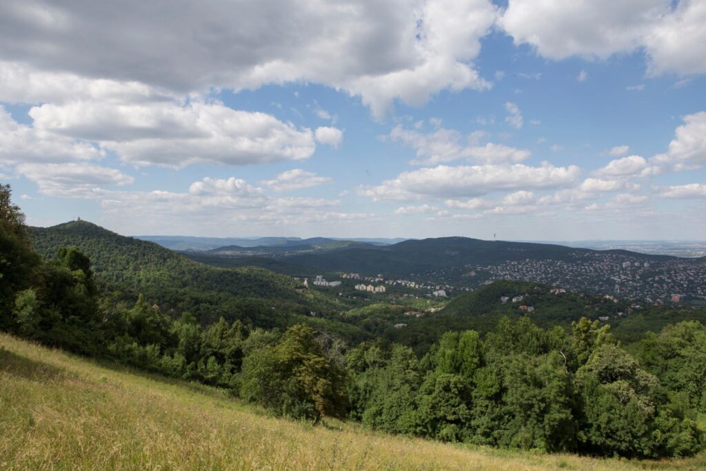 Csillaghullás 2025: A legjobb időpont és helyszín a Perseidák megfigyelésére