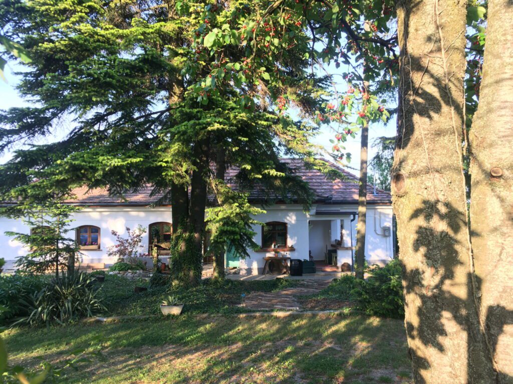 Nyári leárazás! - Használd ki az utolsó napsugarakat és pihenj olcsóbban szeptember végéig