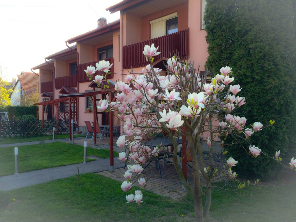 Nézd meg Közép-Európa legnagyobb jelmezes, historikus fesztiválját - Savaria Történelmi Karnevál 2025