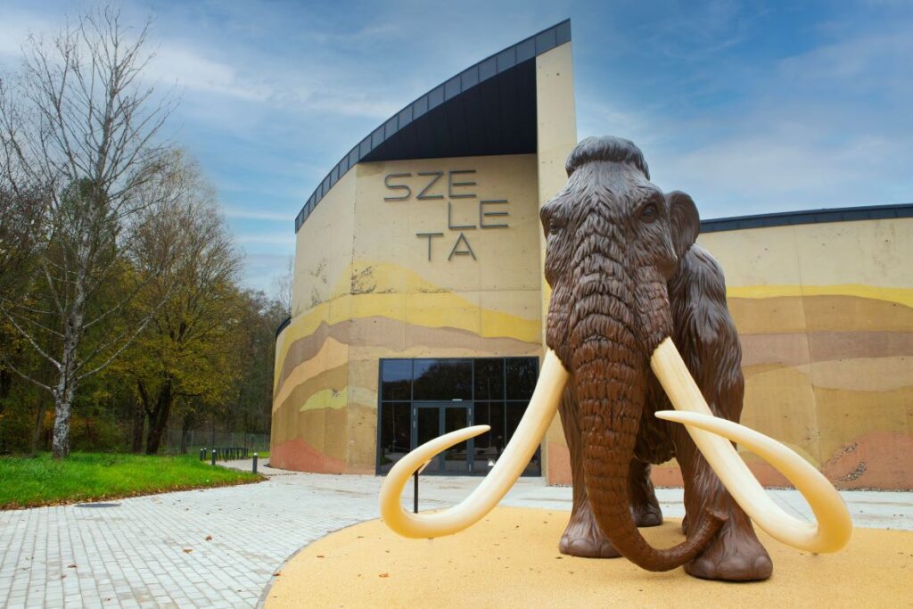 Ezt a 10 dolgot muszáj kipróbálnod Miskolcon és a környékén idén!