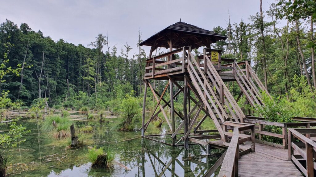 Top 10 hétvégi túratipp vasúti és buszmegállótól indulva – autómentes kirándulások