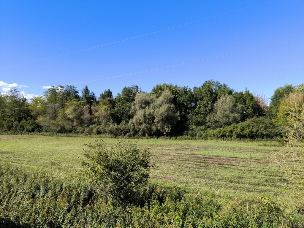 Somogyország retró élménye: Teszteld a Balatonfenyvesi Kisvasút útvonalait! 