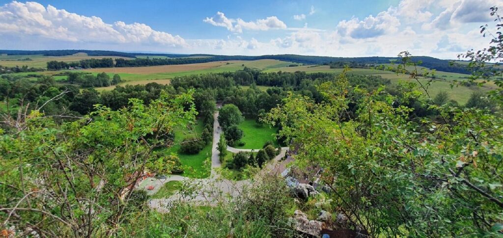 Szarvasbőgés túrák 2025. – Kisvasutas, traktoros és kajakos szarvasbőgésen is részt vehetsz