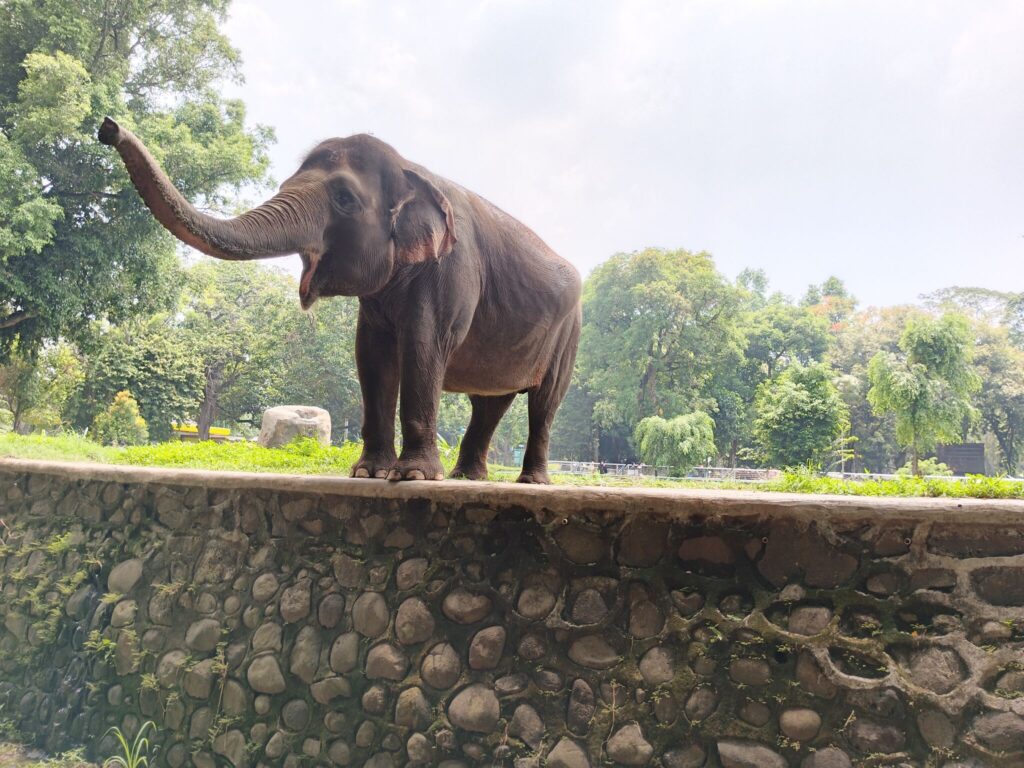 Repülj 1 órát a hegyek ölelésébe! Top 10 erdélyi wellness szállás kirándulástippekkel