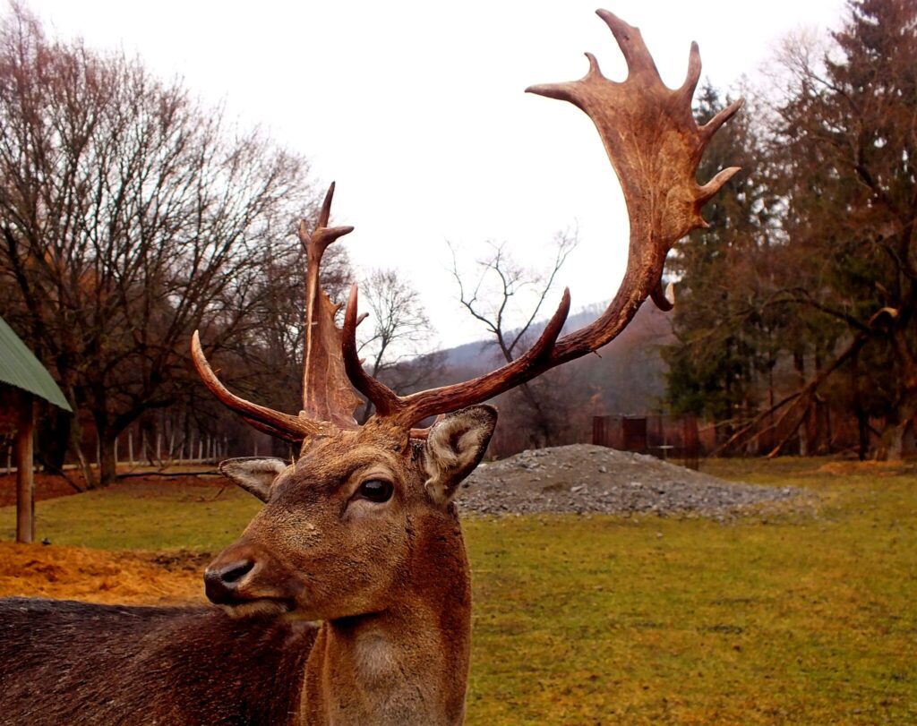 Felsőtárkány hét csodája: A Bükk lábánál rejtőző kincsek nyomában