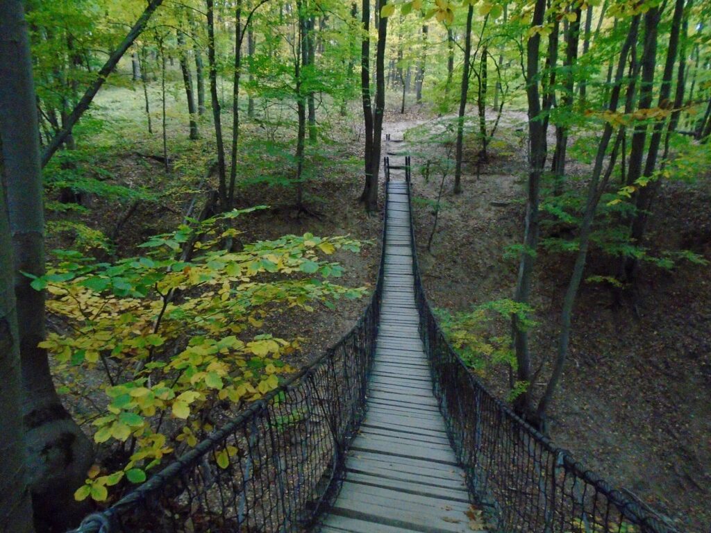 Őszi kalandlista: Függőhidak, csúszópályák és kalandparkok kicsiknek és nagyoknak