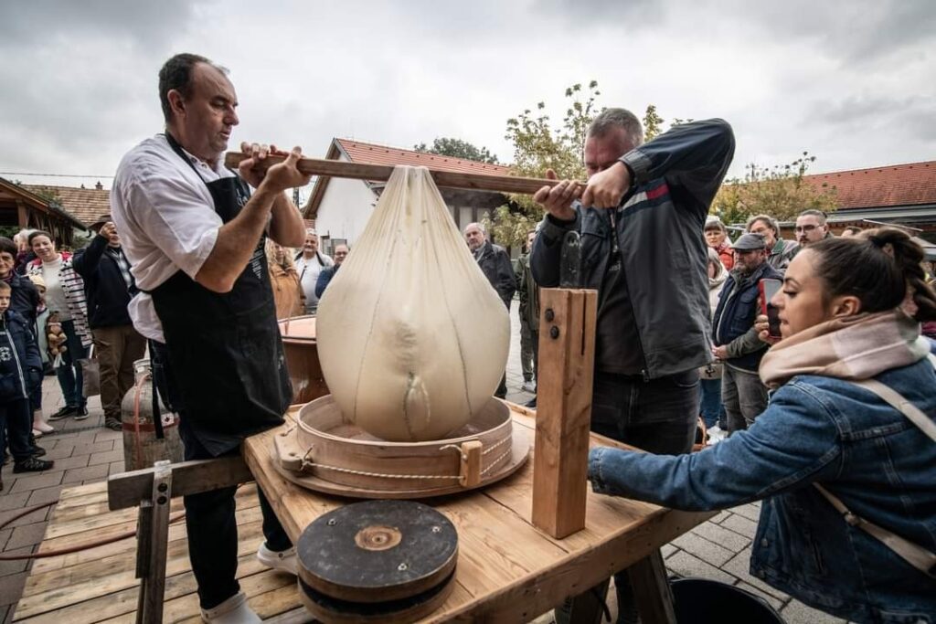 Ezt nemcsak látni, de kóstolni is kell! Híres sajtműhelyek és sajtmanufaktúrák Magyarországon