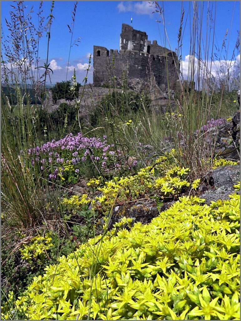 A hosszú élet titka: 10 hazai úti cél, ahol tehetsz a longevity-ért